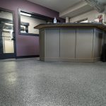 Home 66 dog daycare